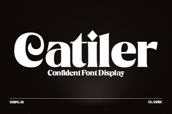 Catiler: The Modern Display Font for Editorial Web Design